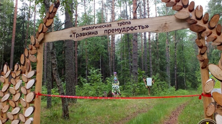 В национальном парке «Чаваш вармане» открылась новая экологическая тропа «Травкина премудрость».