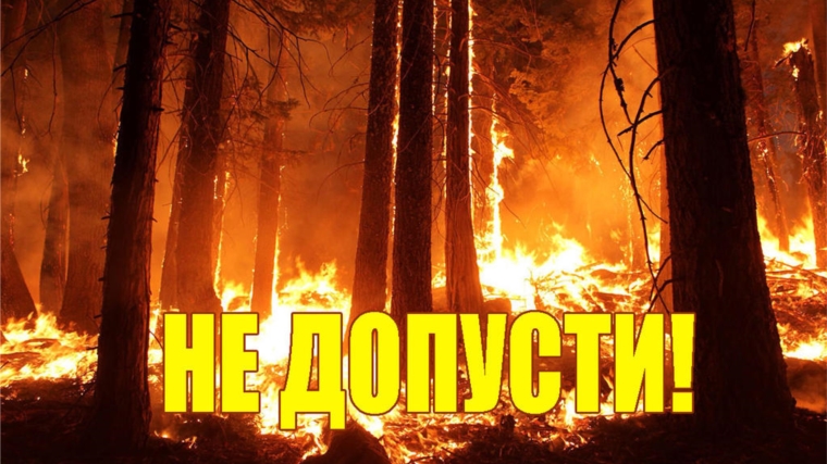 Министерство природных ресурсов и экологии Чувашской Республики напоминает о необходимости соблюдения правил пожарной безопасности