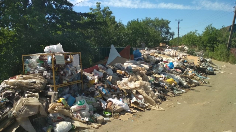 В Чебоксарах каждый хозяйствующий субъект обязан организовать сбор и вывоз отходов