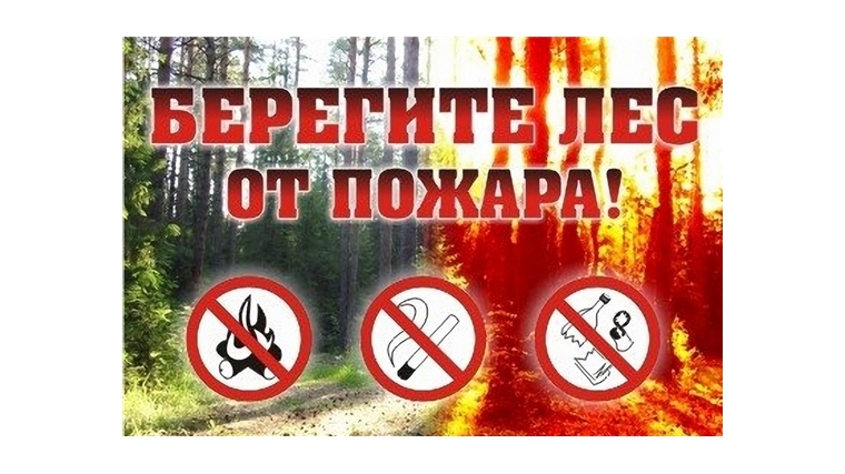 ВНИМАНИЕ: в лесах установился 4 (высокий) класс пожарной опасности!