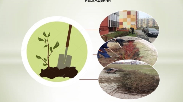 В рамках осенних экологических мероприятий на территории города Чебоксары высажено 2 350 зеленых насаждений