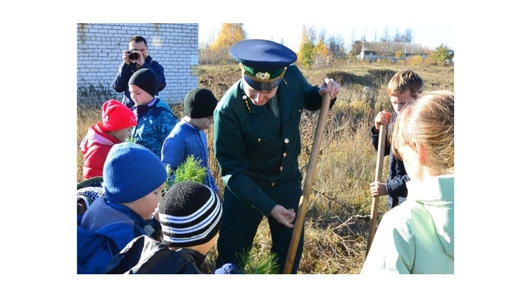 КУ "Лесная охрана" Минприроды Чувашии приняло активное участие в акции "Живи, лес!" на территории Чувашской Республики