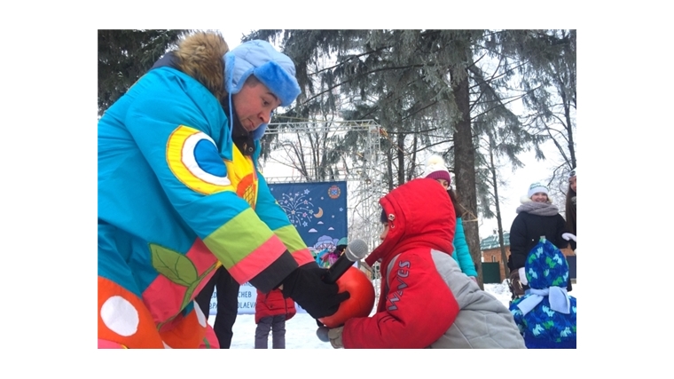 Детский парк им. А.Г. Николаева приглашает на экологический праздник «Зимний Экодвор. Ледовые просторы»