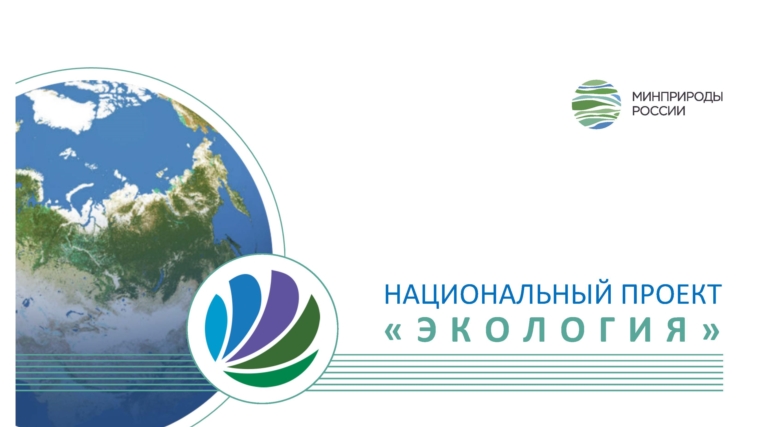 Глава Минприроды России информировал Главу государства о реализации национального проекта «Экология»