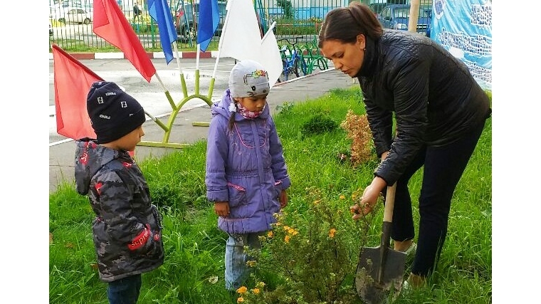 Детские сады участвуют в экологической акции «Чебоксары – зеленая столица»