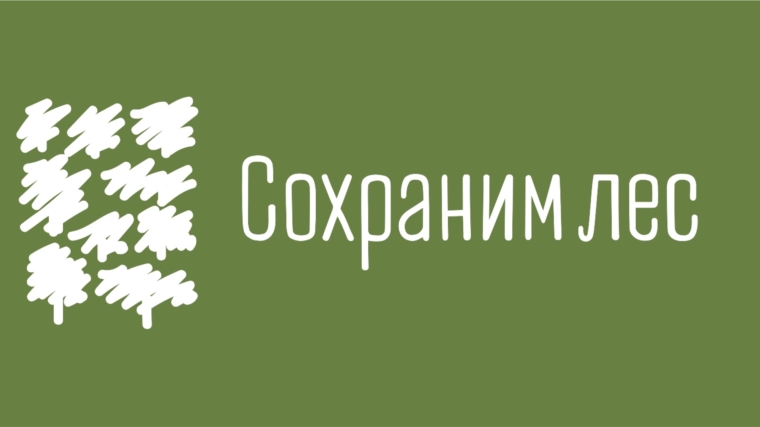 28 сентября пройдет Всероссийская осенняя акция «Сохраним лес»