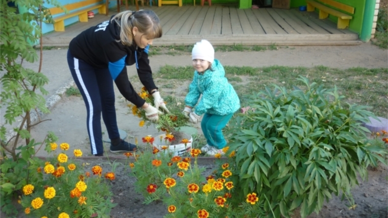 Сохраним природу чистой: в чебоксарских детских садах проводятся субботники и экологические мероприятия