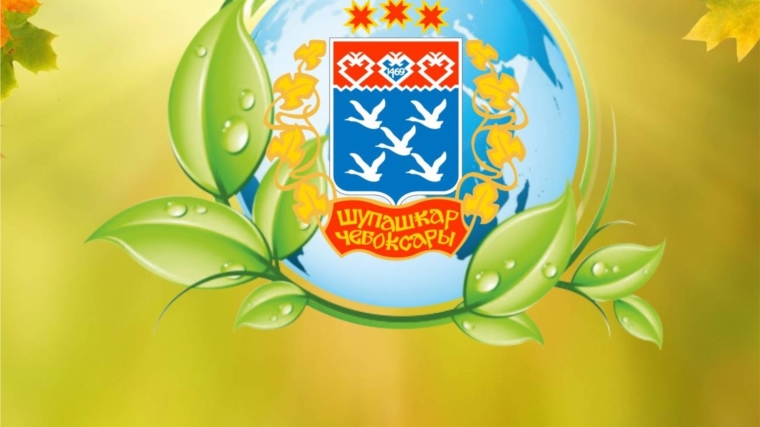 В городе Чебоксары продолжаются осенние экологические мероприятия