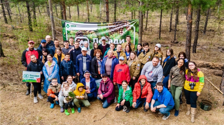 За весну российские волонтеры высадили 830 тысяч лесных деревьев