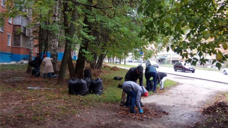 В Ленинском районе продолжаются осенние экологические мероприятия